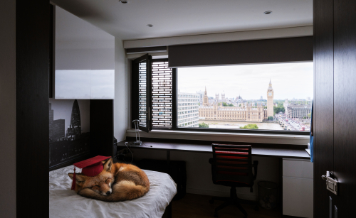 Single room