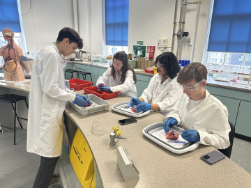 Students from an Academic Summer Camp in lab coats engaged in teamwork while working on a project in a laboratory setting.