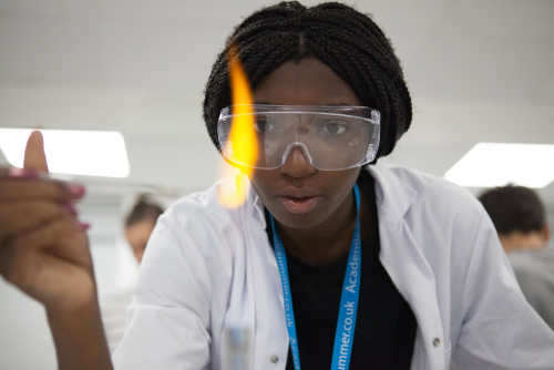 Having fun in medicine. Academic Summer students.