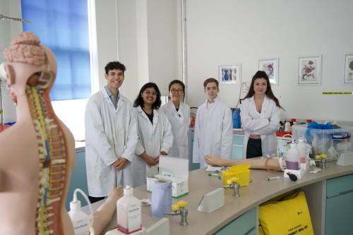 Dr Ali Ho teaching students on Academic Summer's medicine programme